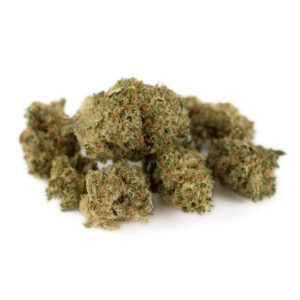 Orange Cookies Indoor