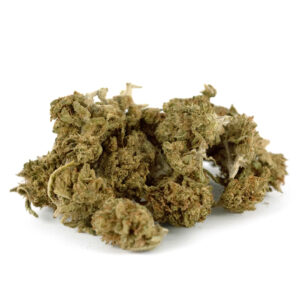 White Purple Outdoor